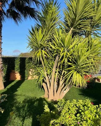 Villetta bifamiliare - Ragusa