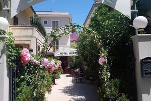 Albergo/Hotel Rimini [Cod. rif 3291098VTG]