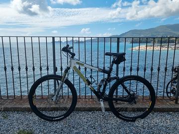 Kona Bear Mountain Freeride Bike 2002 