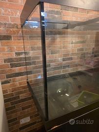 Acquario jewel