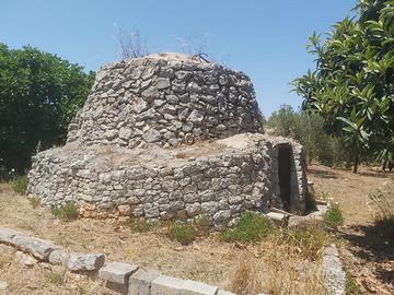 Ostuni | trullo autentico, ulivi e tranquillità