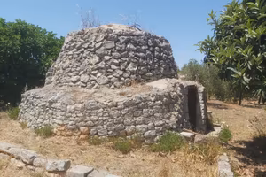 Ostuni | trullo autentico, ulivi e tranquillità