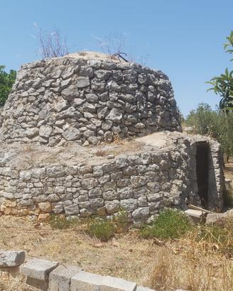 Ostuni | trullo autentico, ulivi e tranquillità