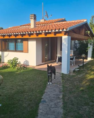 SANTA TERESA GALLURA Villetta indip.giard.recintat