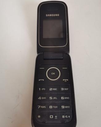 Cellulare Samsung