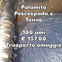 palamito pesce spada 6