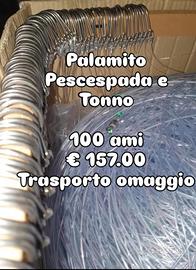 palamito pesce spada 6