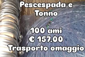 palamito pesce spada 6