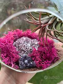 Terrario appeso rosa