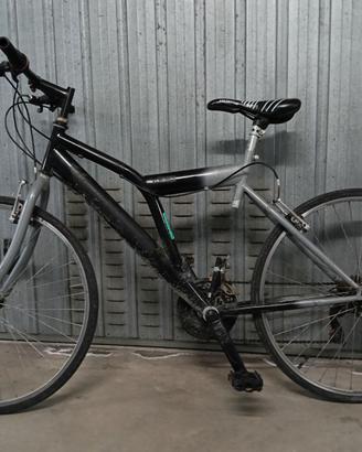 Bicicletta ruota 26