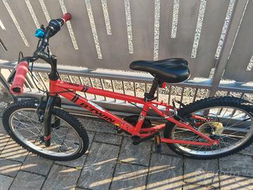 bicicletta bambino 