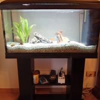 Acquario completo wave 100lt.