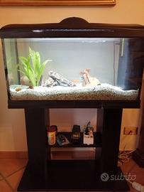 Acquario completo wave 100lt.