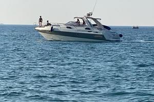 Cranchi 41 endurance