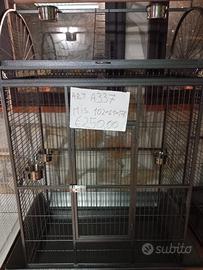 gabbione x grandi pappagalli 3714478020