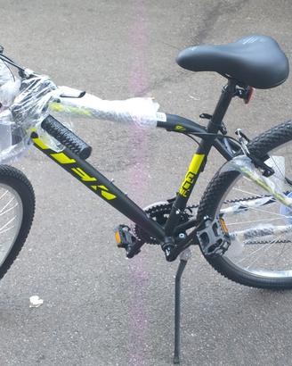 Mountain bike