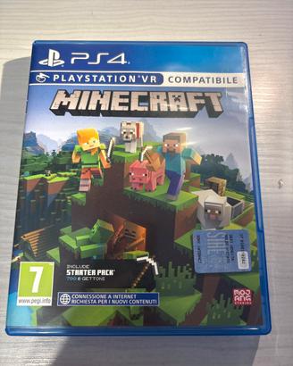 Videogioco paly 4 “MINECRAFT”