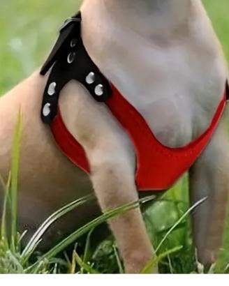 Pettorina per cani taglia piccola