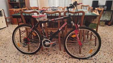 Bicicletta Mountain Bike adulto Esperia Tornado
