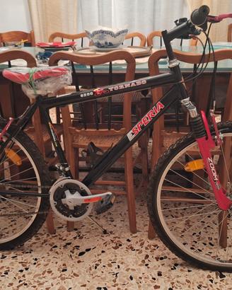 Bicicletta Mountain Bike adulto Esperia Tornado