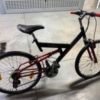 Mountain Bike Endless