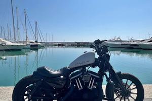 Harley davidson 883 xl