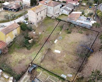 Terreno con alberi da frutta
