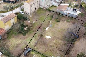 Terreno con alberi da frutta