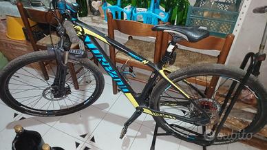 mtb torpado in carbonio 