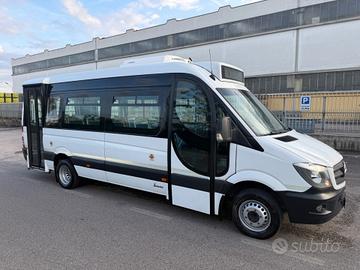 Minibus/ Sprinter posti 18+5
