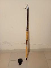 Canna Vintage Shakespeare Noris B-Serie 1-3 m