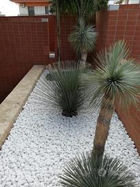 Ciottoli-granulati-tufelle da giardino