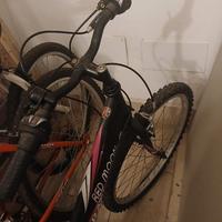 Bicicletta ragazza e portabici