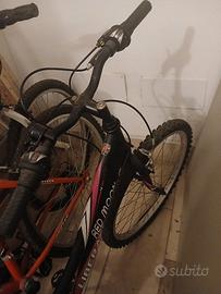 Bicicletta ragazza e portabici