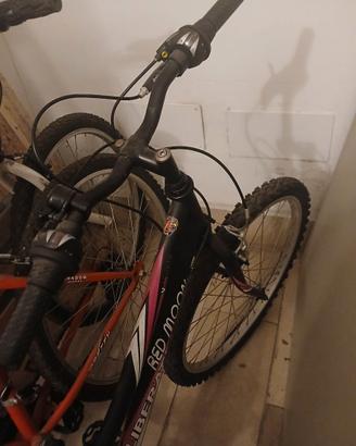 Bicicletta ragazza e portabici