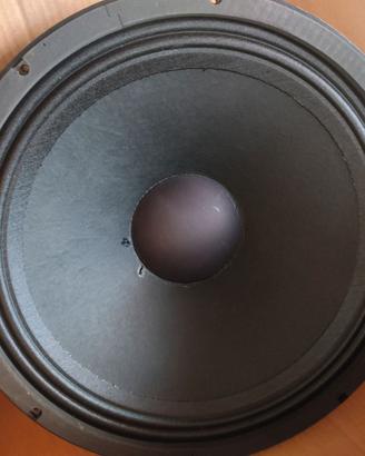 Woofer 18 pollici DAS