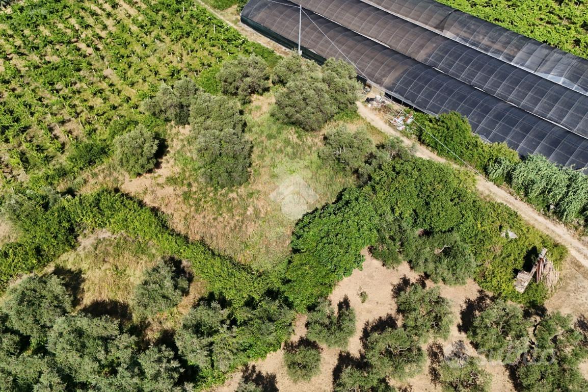 TER. RESIDENZIALE A FRANCAVILLA AL MARE - Vista 5