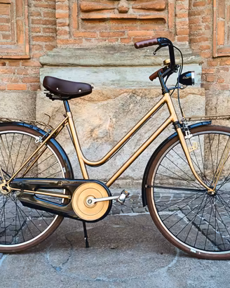 Bicicletta Olanda 26" Custom Vintage – Monomarcia
