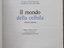 Immagine 2