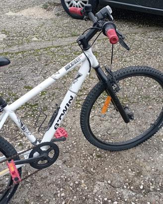 Bicicletta