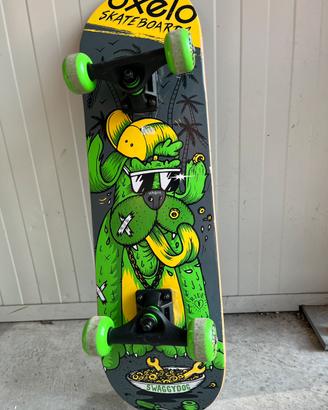 Skateboard swaggy dog