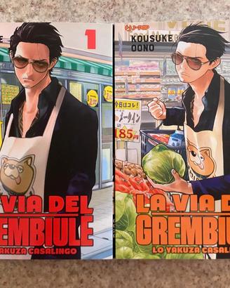 Fumetto La via del Grembiule