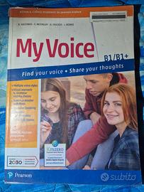 My voice 