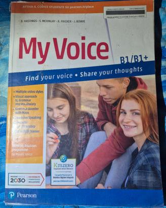 My voice 