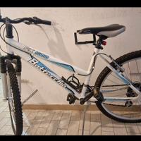 Mountain-bike marca Bottecchia