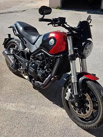 benelli leoncino 500 anno 2022