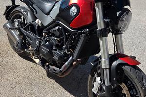 benelli leoncino 500 anno 2022