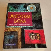 L'antologia latina. Poeti e prosatori di Roma 