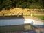 Immagine 21