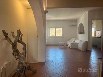 Parco residenziale custodito